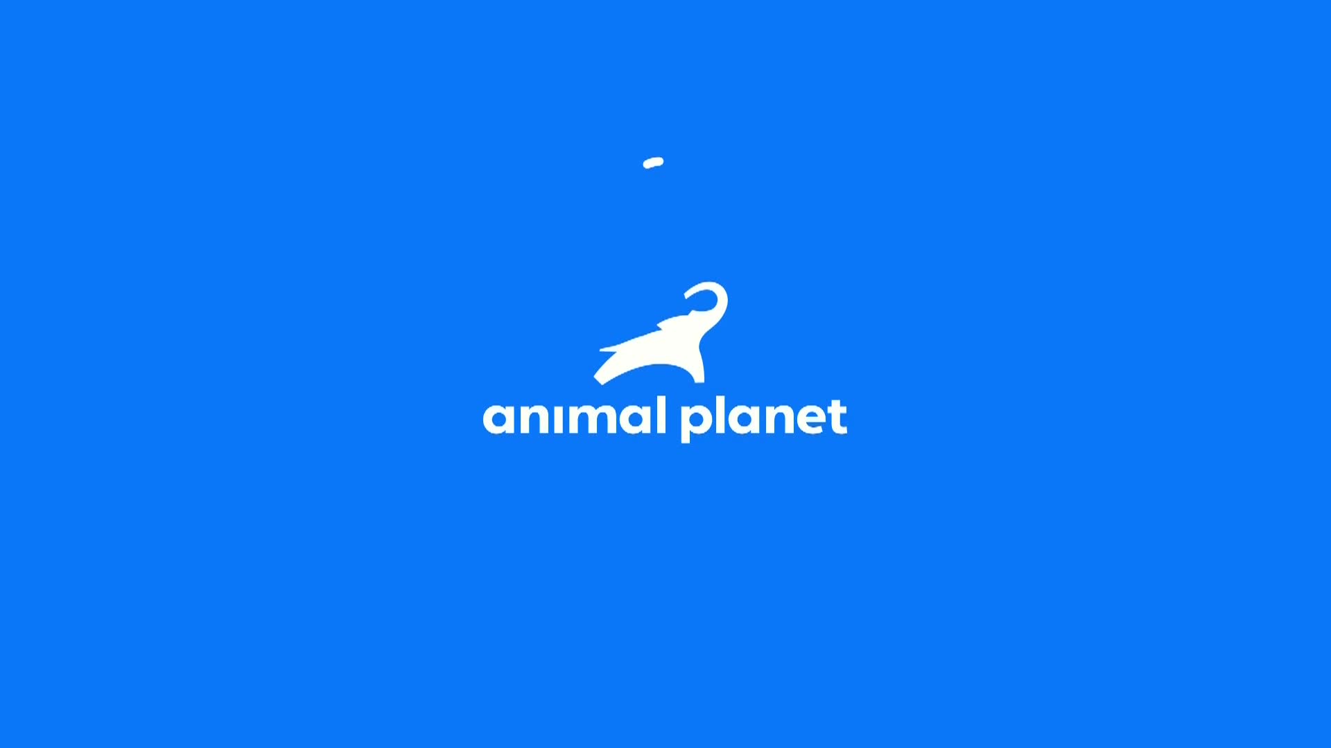AnimalPlanet