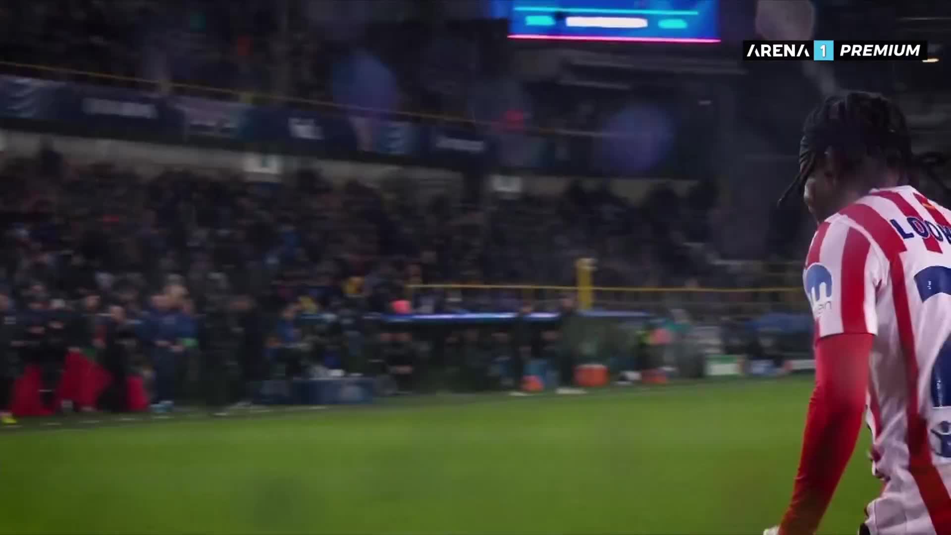 ArenaPremium1