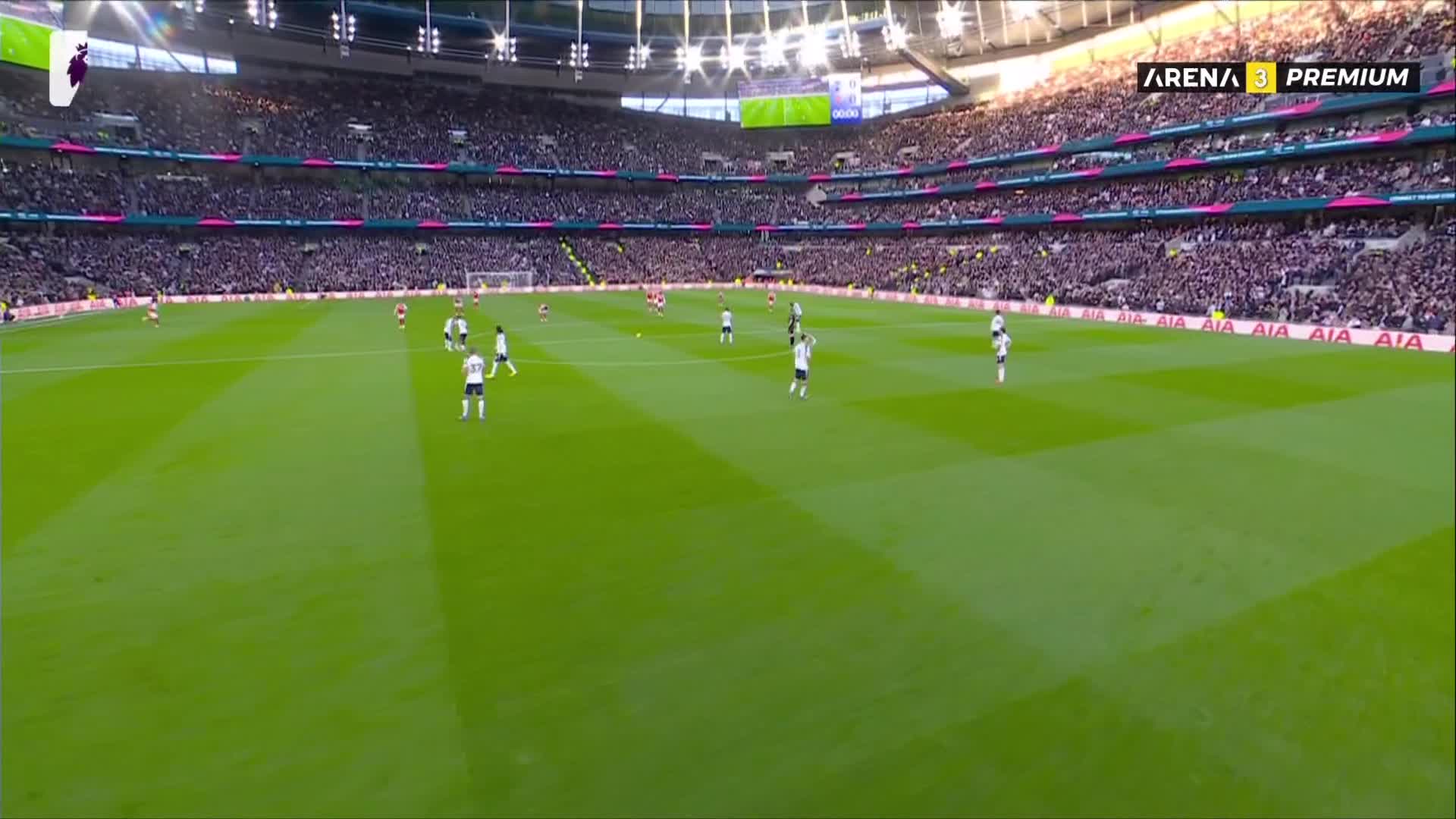 ArenaPremium3