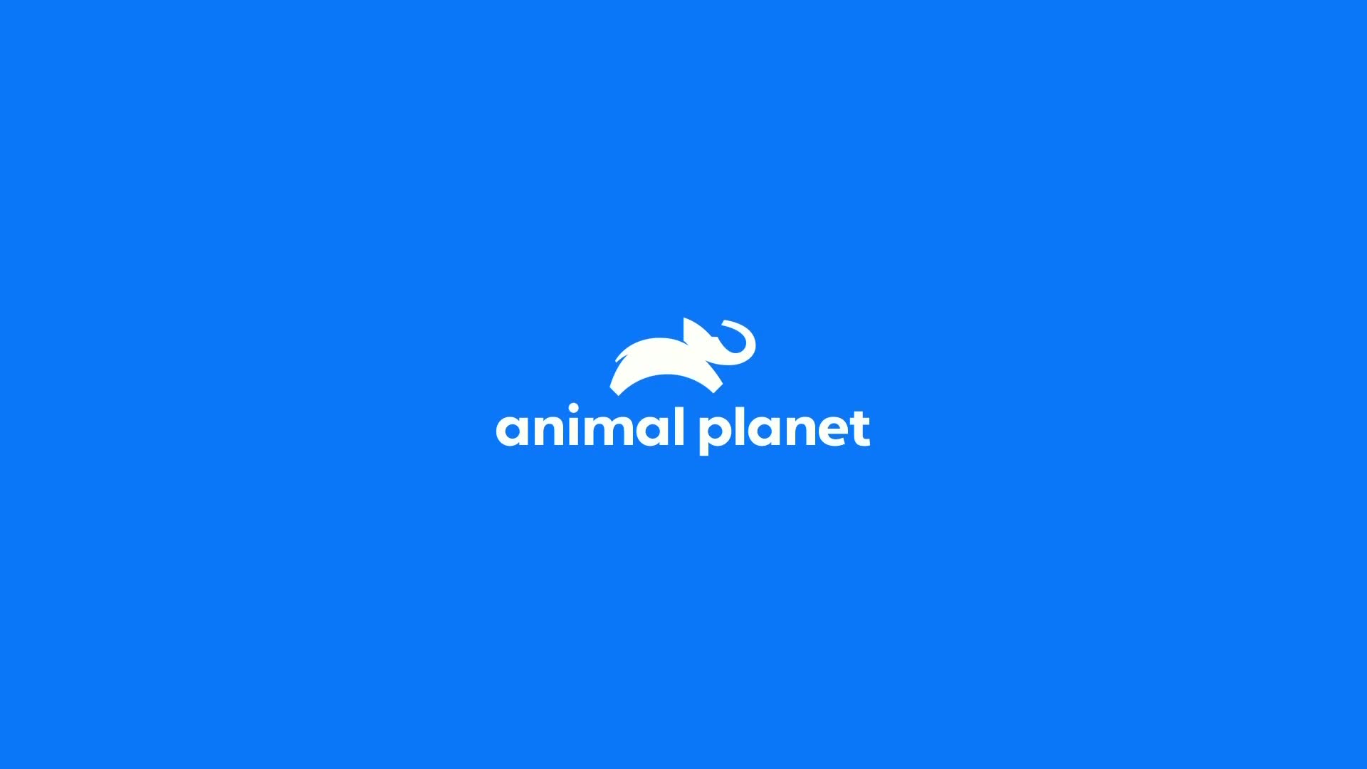 AnimalPlanet