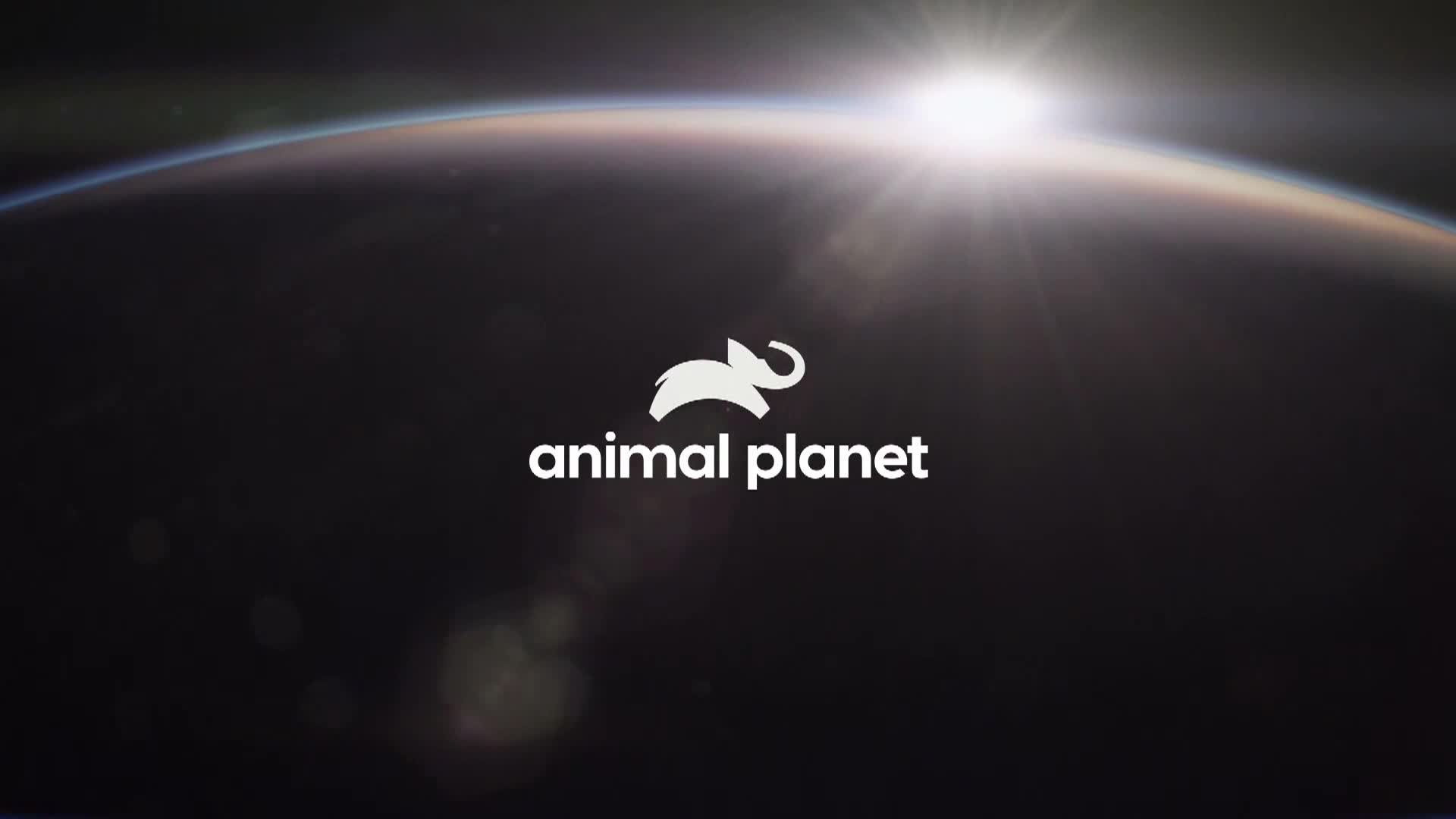 AnimalPlanet