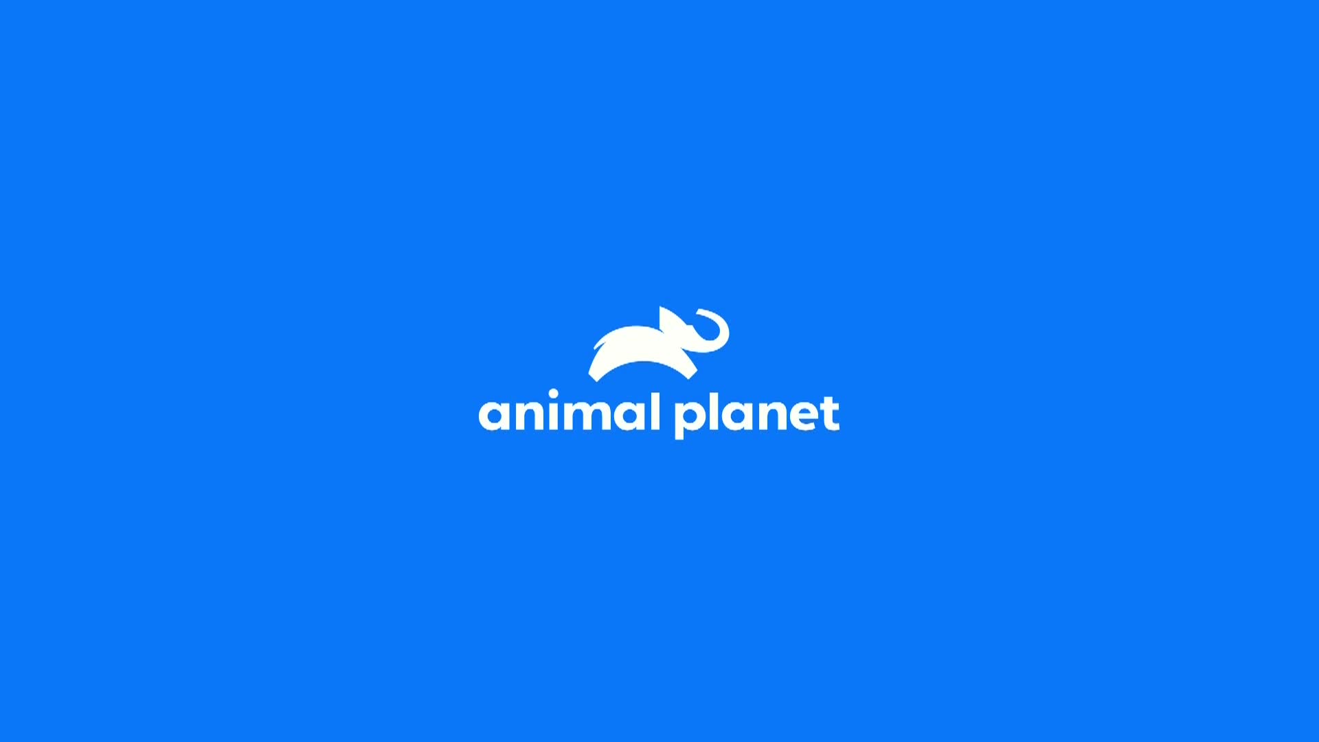 AnimalPlanet