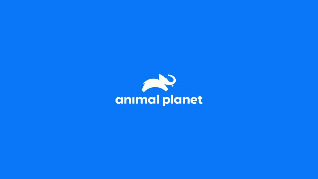 AnimalPlanet