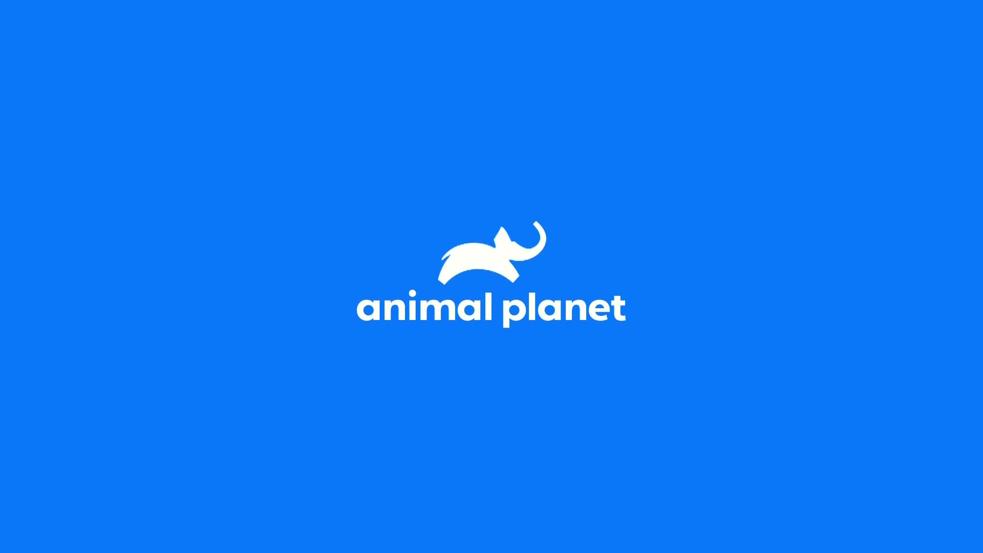 AnimalPlanet
