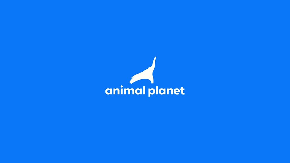 AnimalPlanet