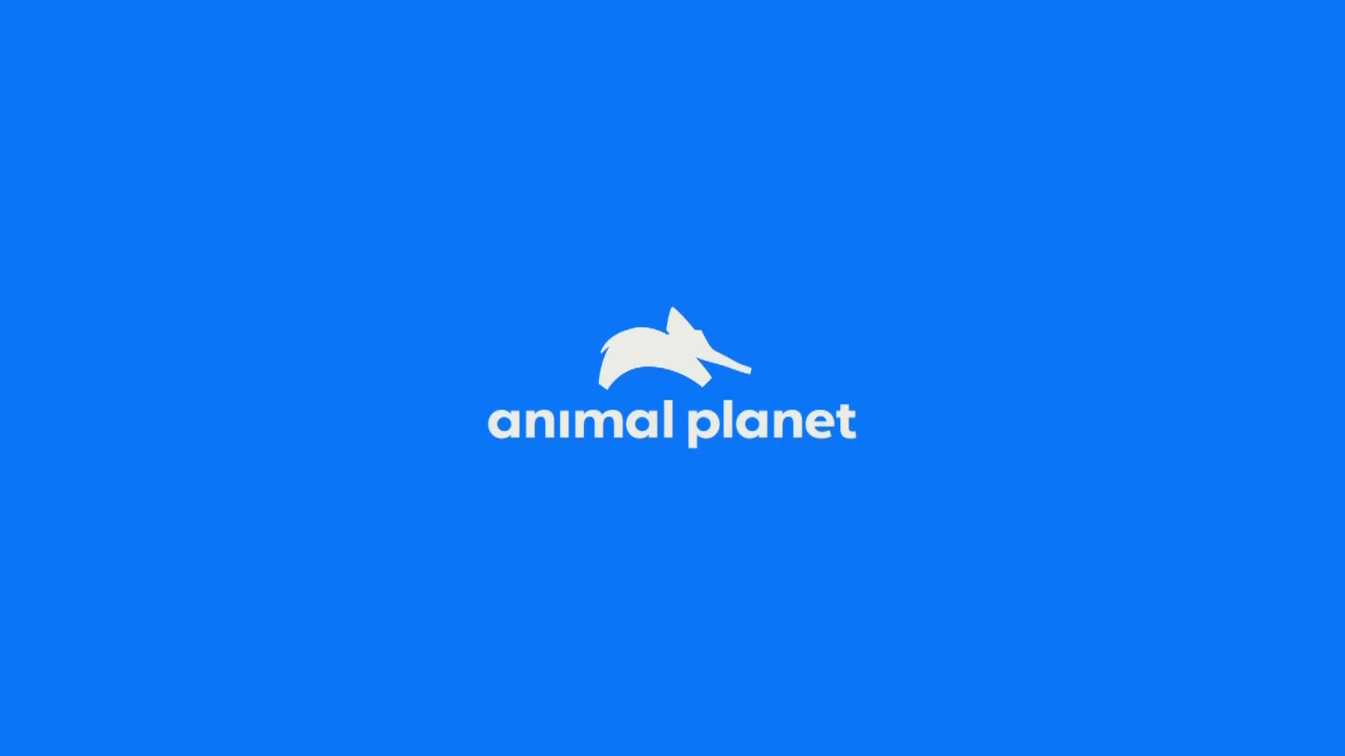 AnimalPlanet