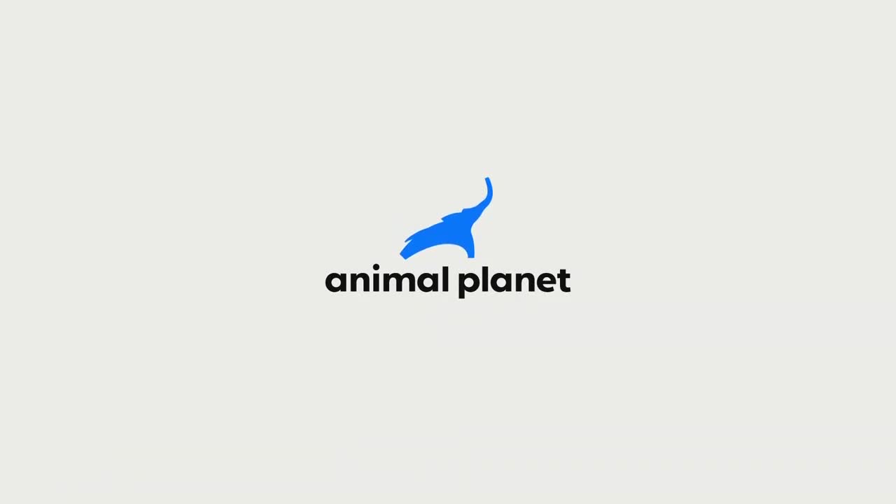 AnimalPlanet