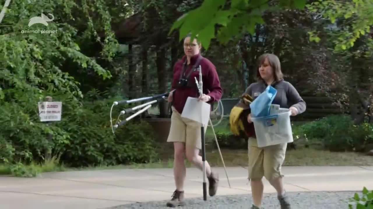 AnimalPlanet