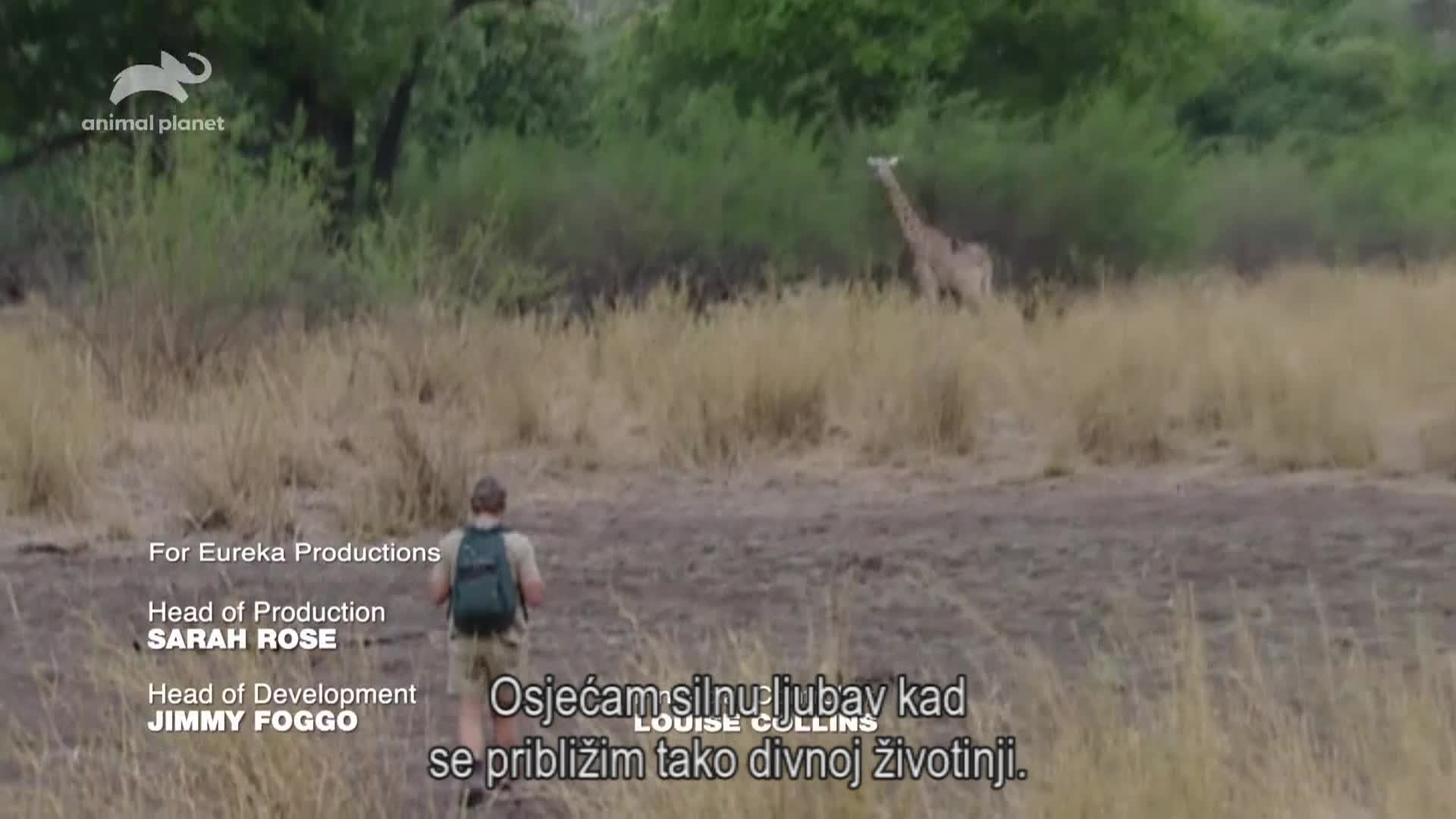 AnimalPlanet