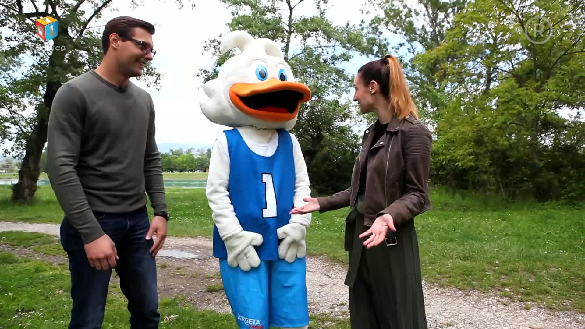 RTLKockica