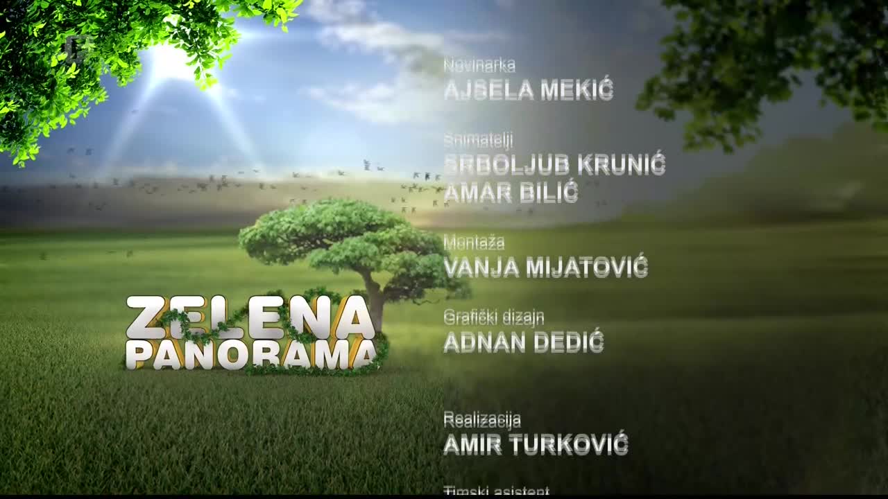 FTV