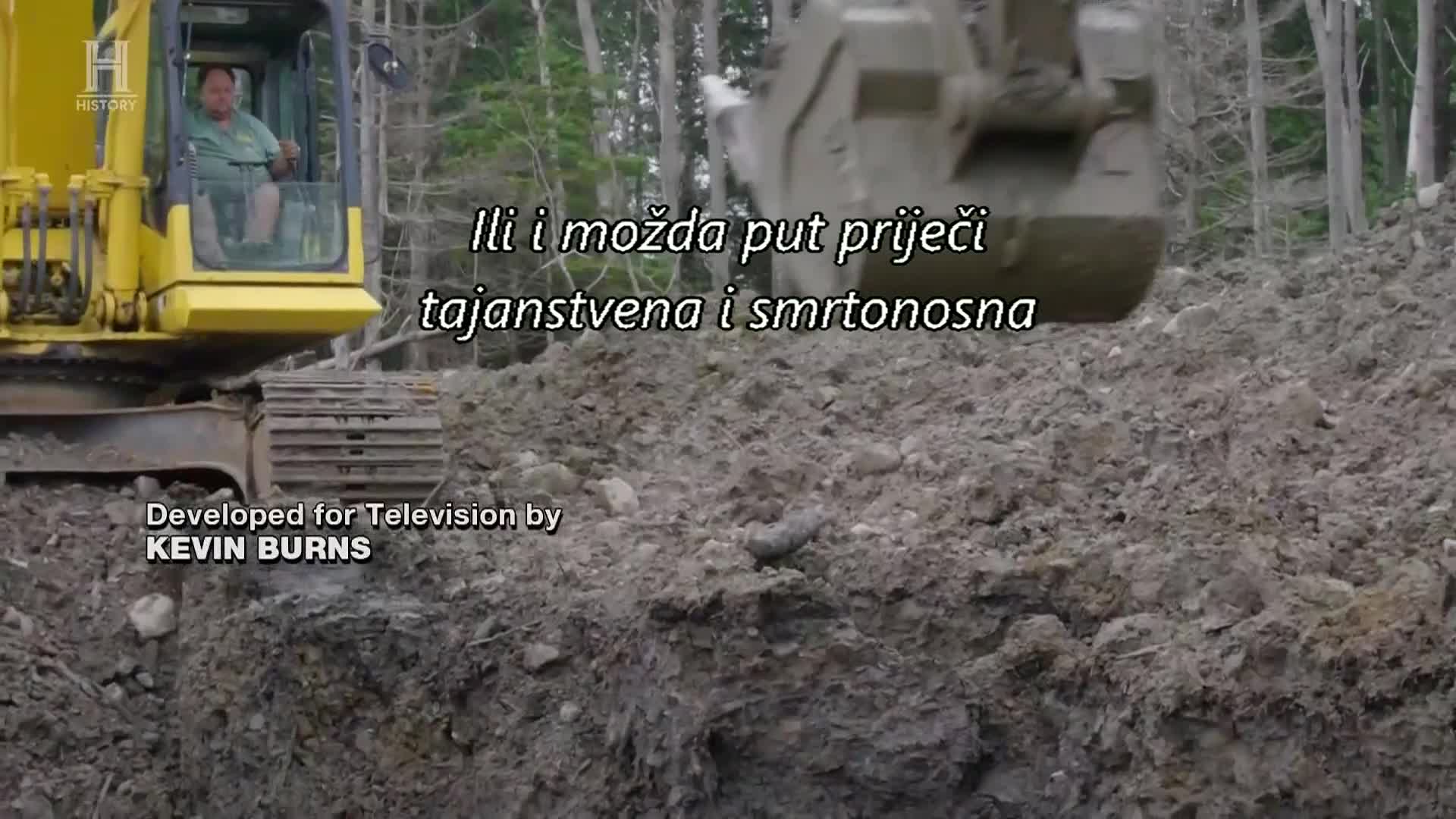 History