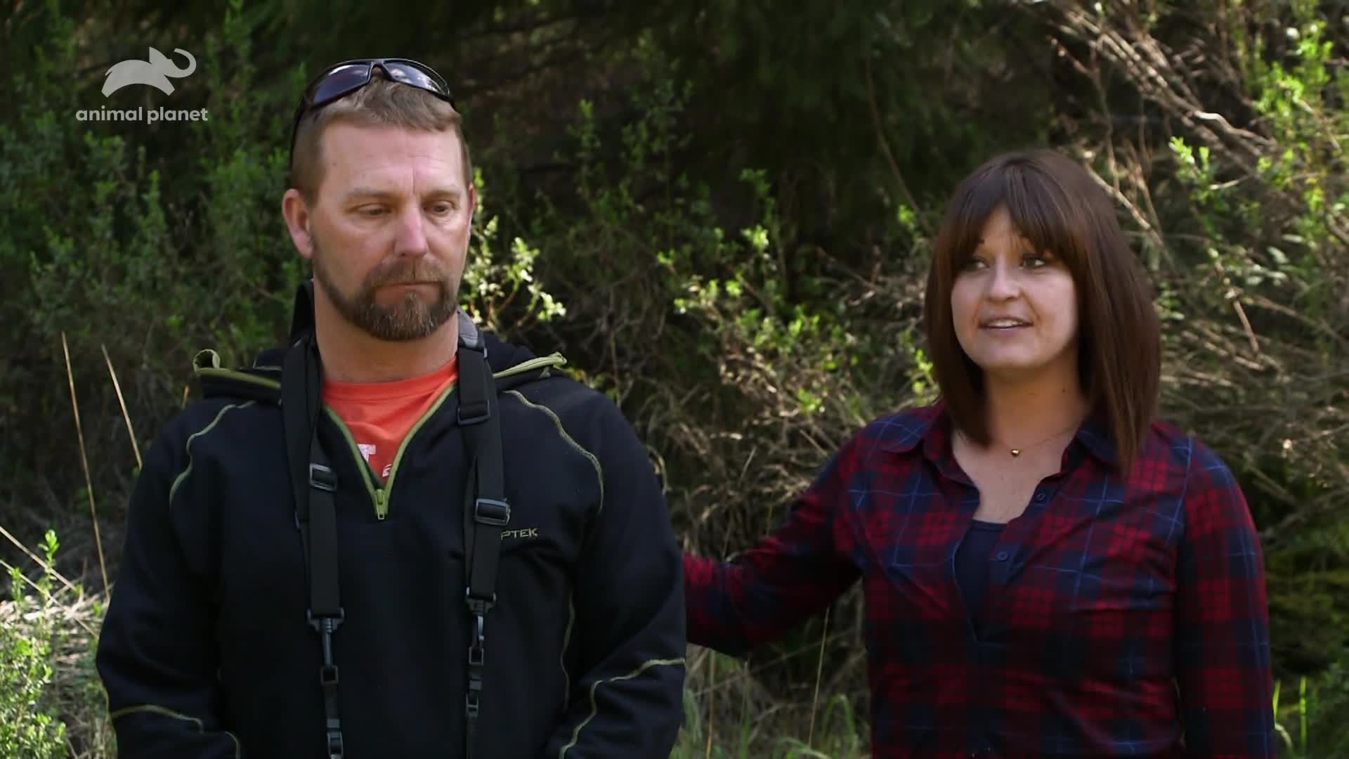 AnimalPlanet