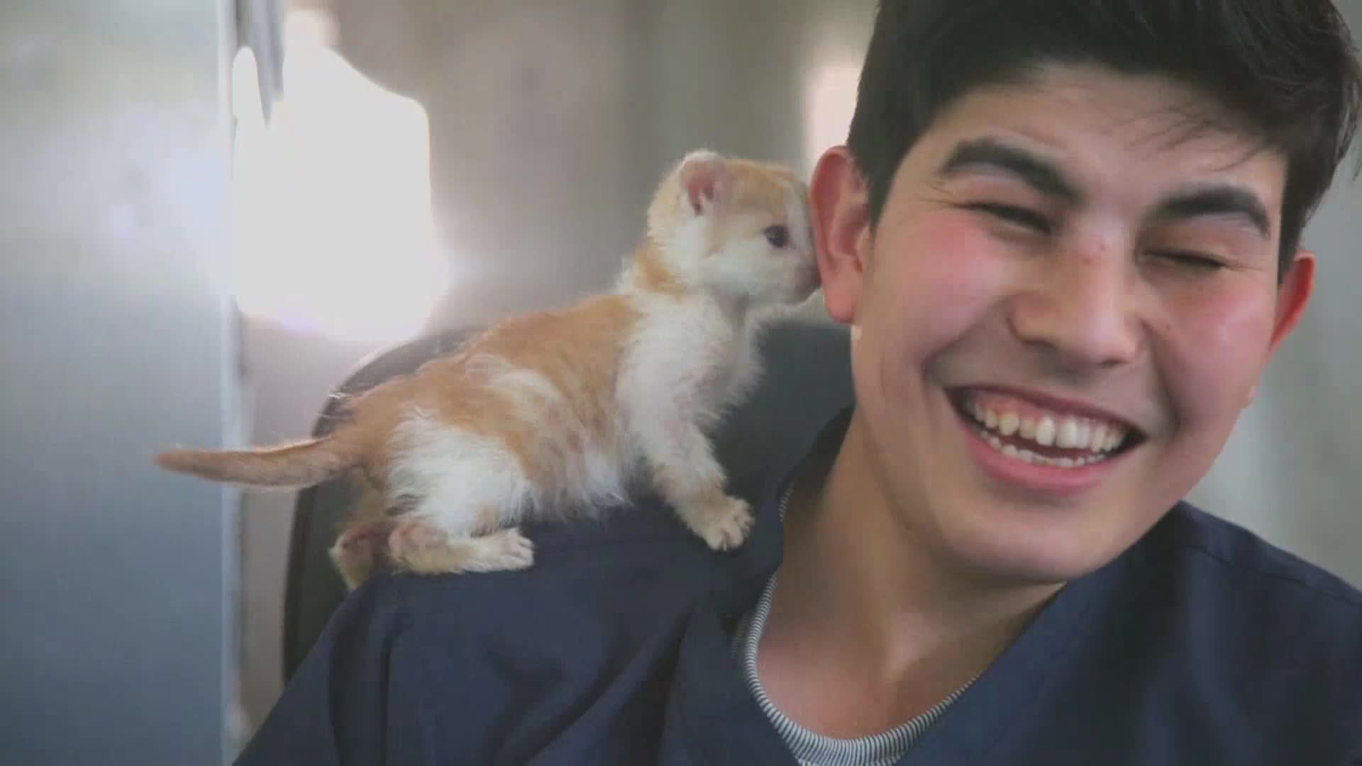 AnimalPlanet