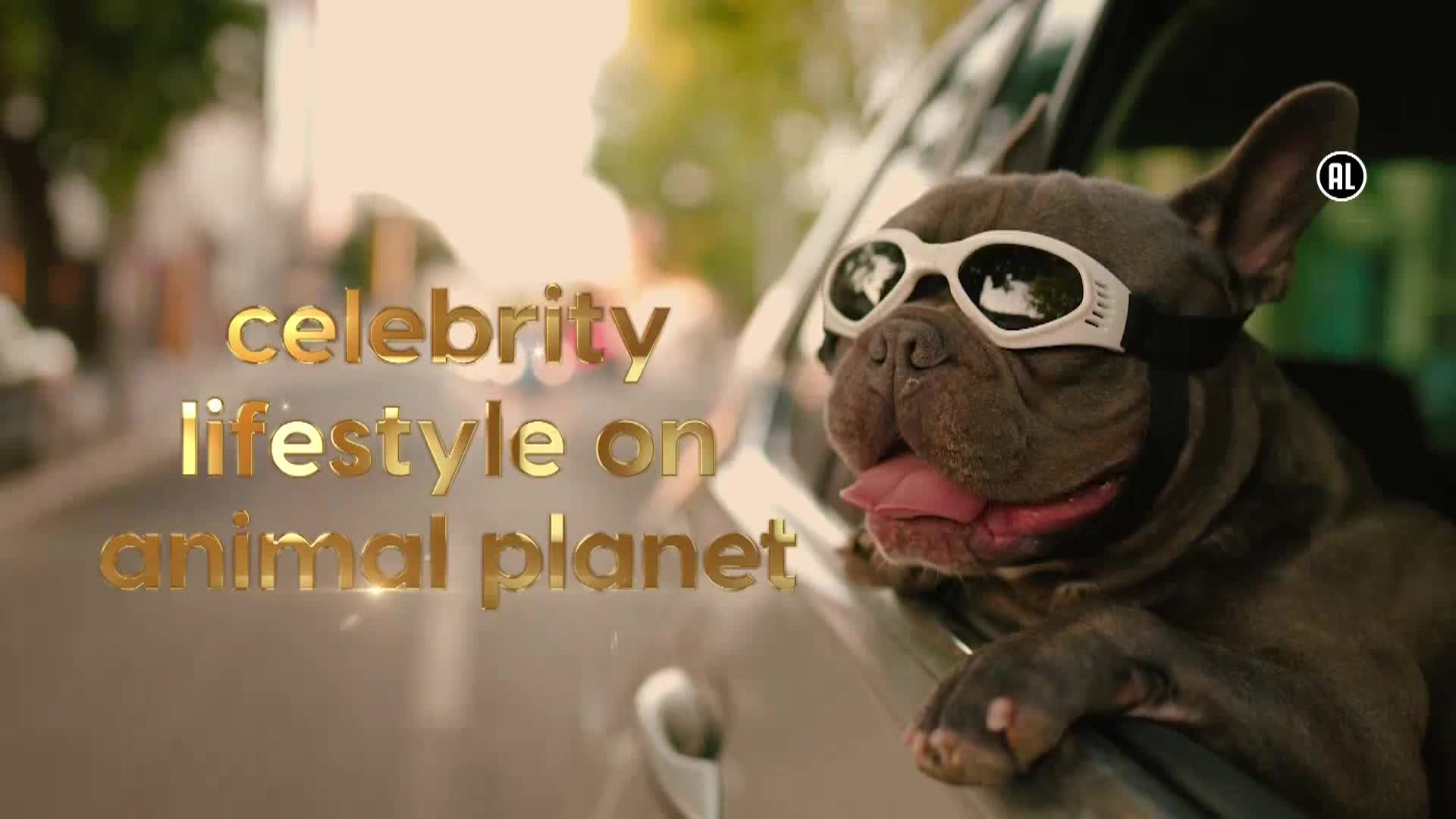 AnimalPlanet