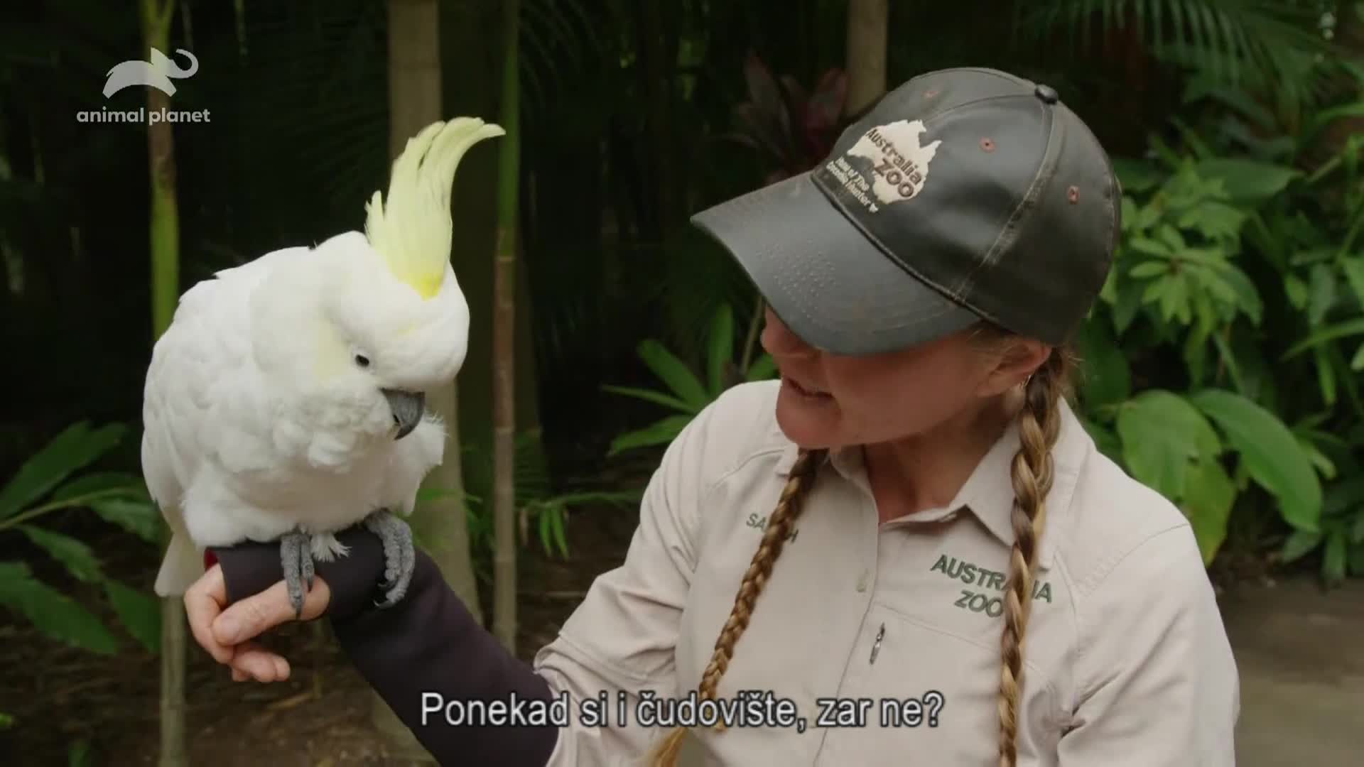 AnimalPlanet
