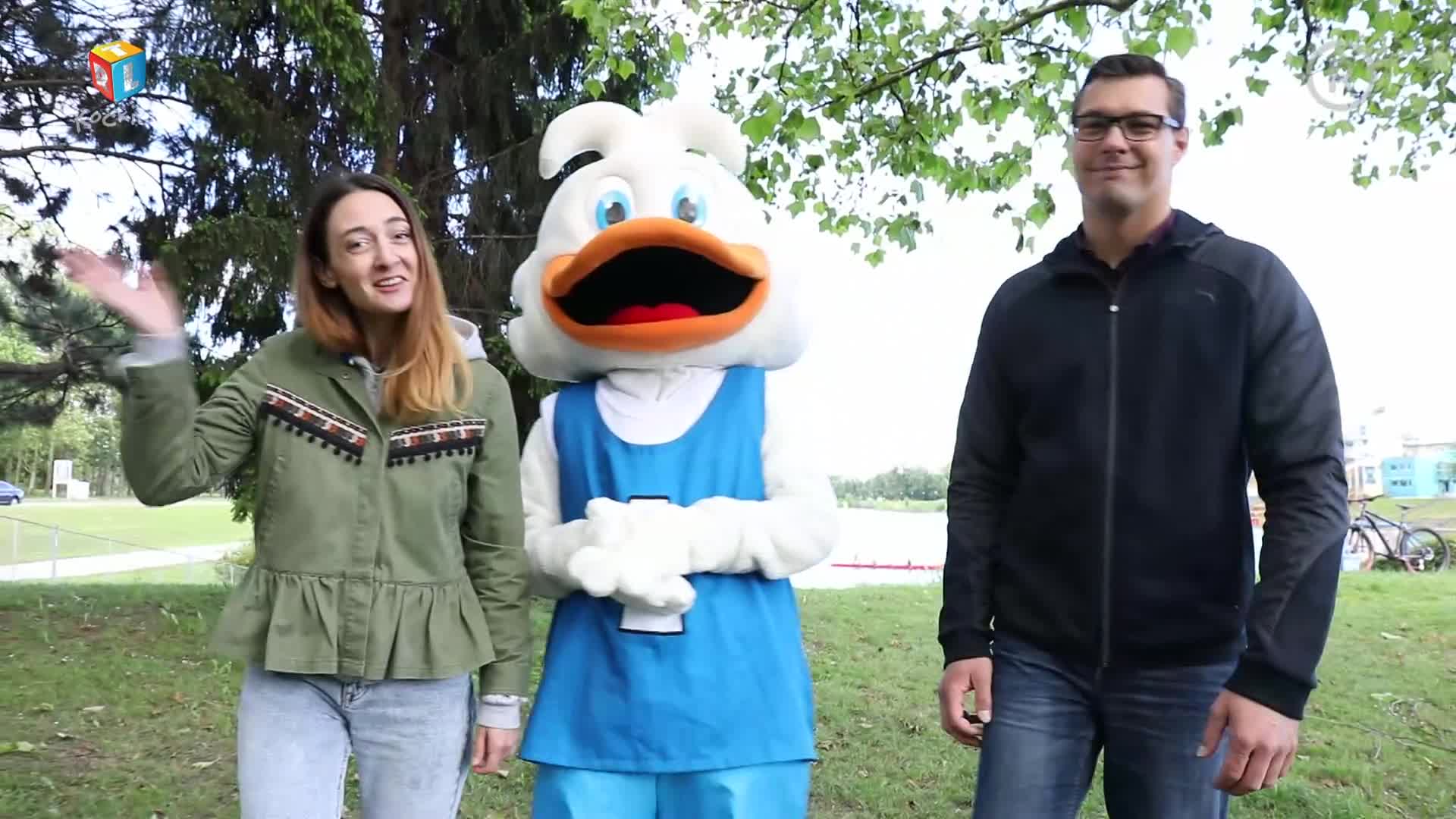RTLKockica