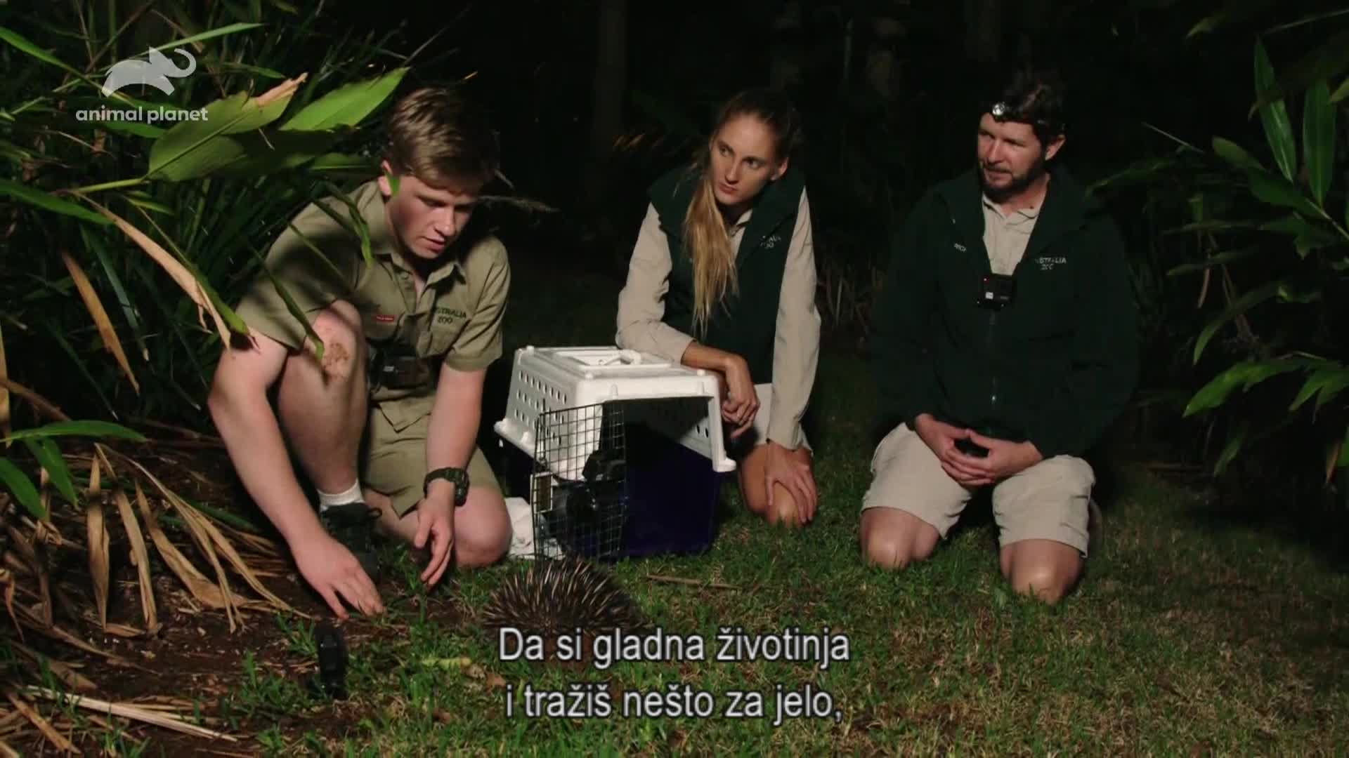 AnimalPlanet