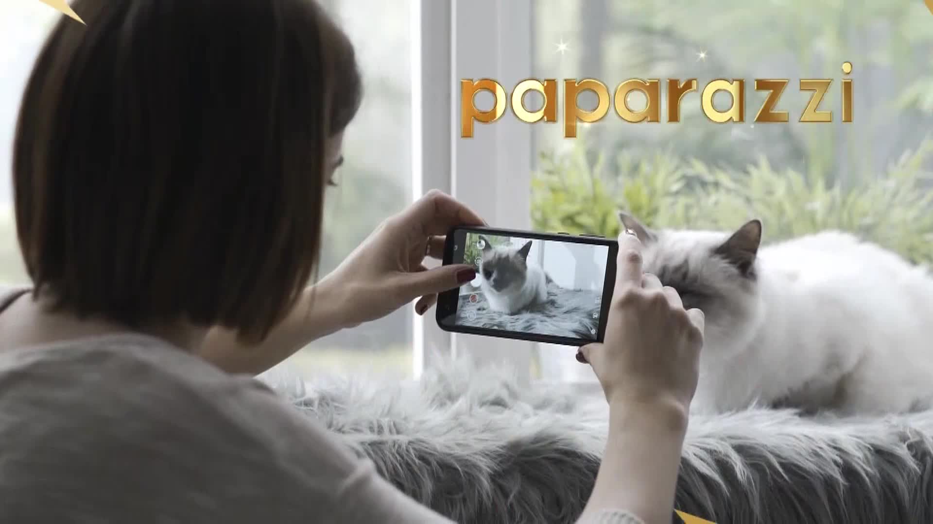 AnimalPlanet