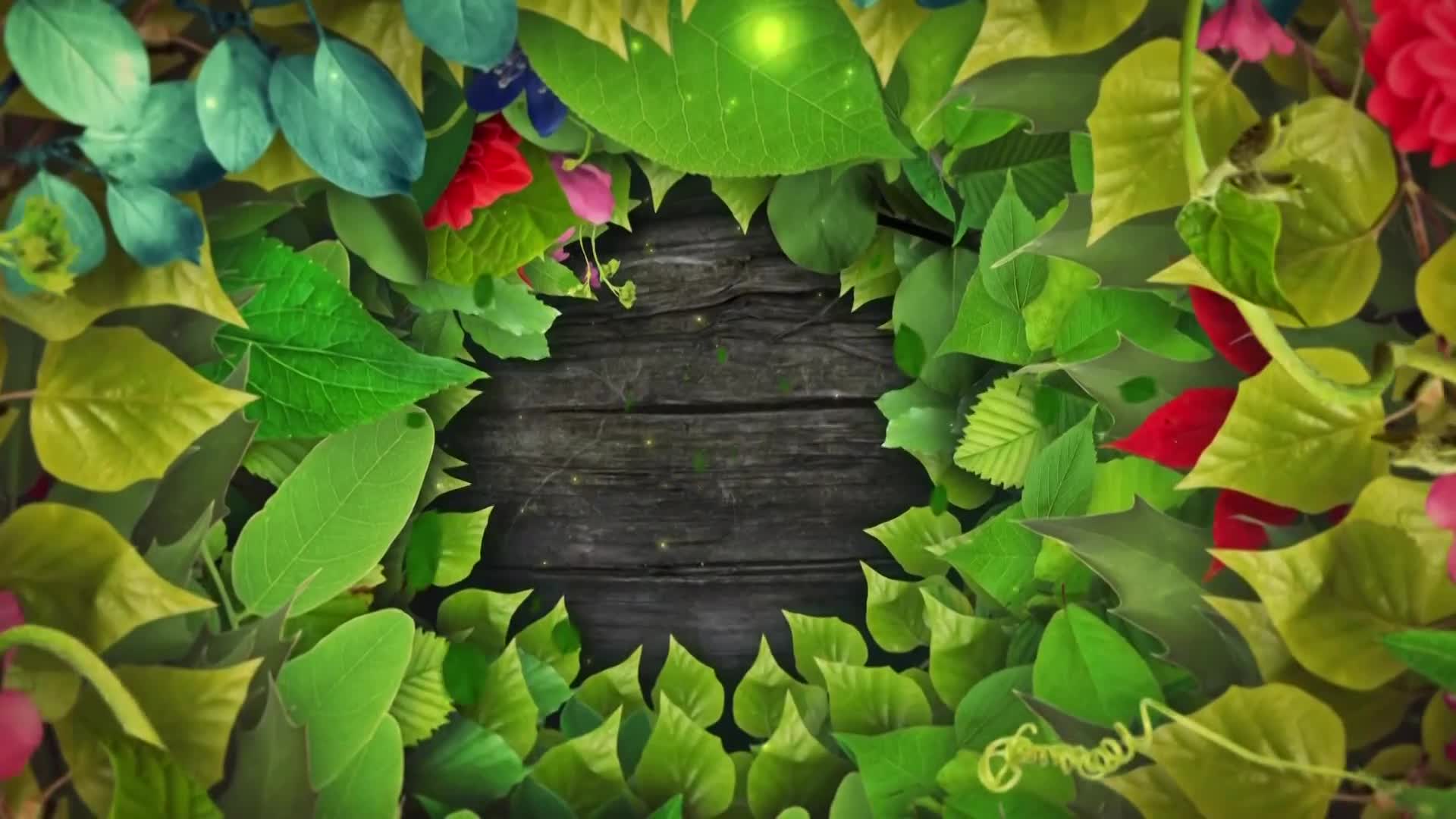 DokuTV