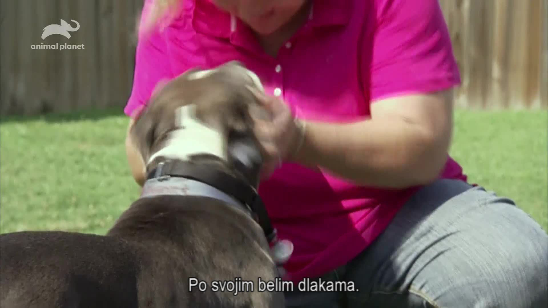 AnimalPlanet