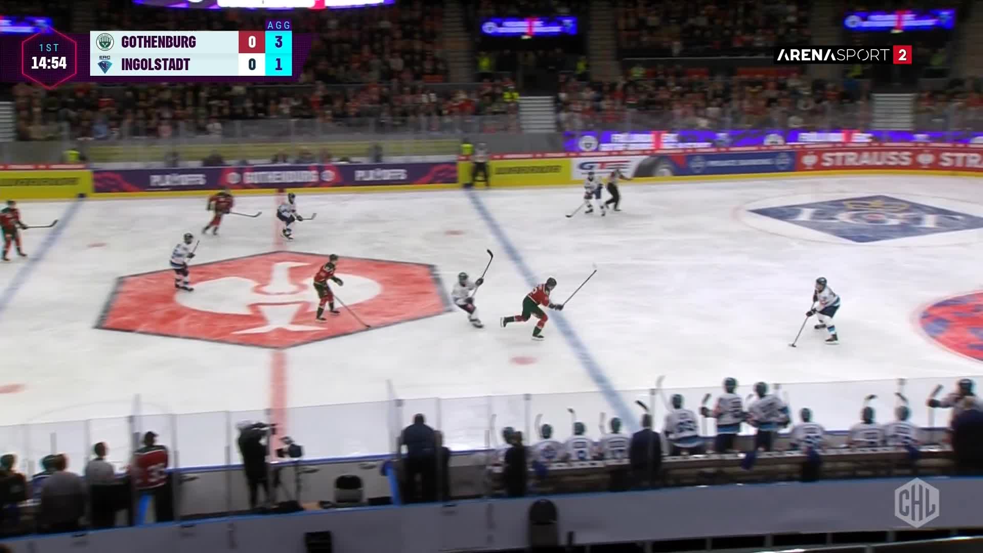 ArenaSportHD2