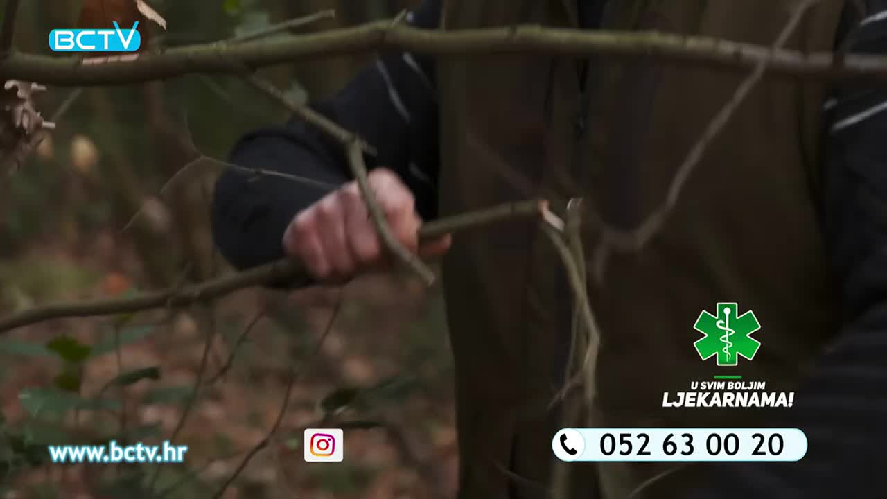 DomaTV