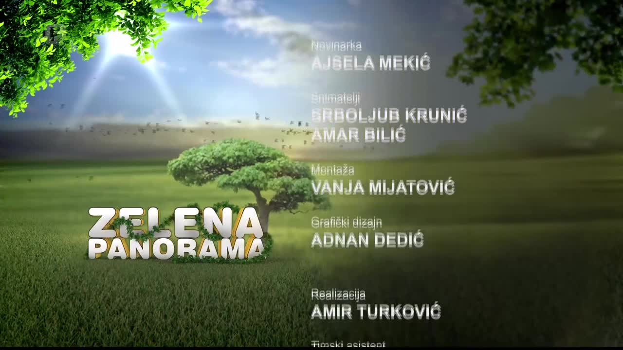 FTV