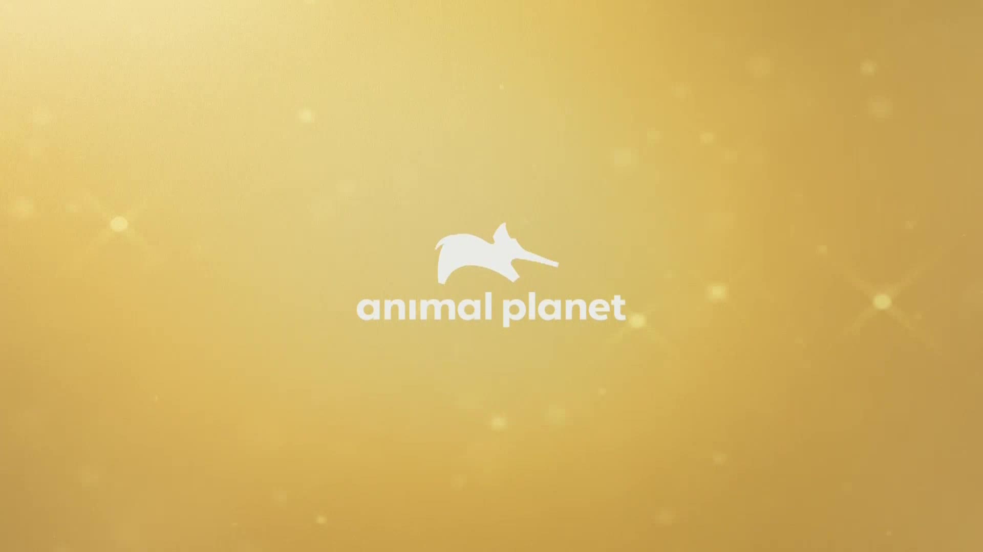 AnimalPlanet
