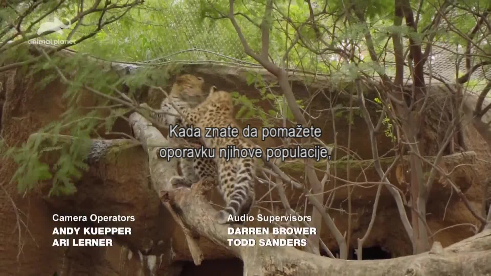 AnimalPlanet
