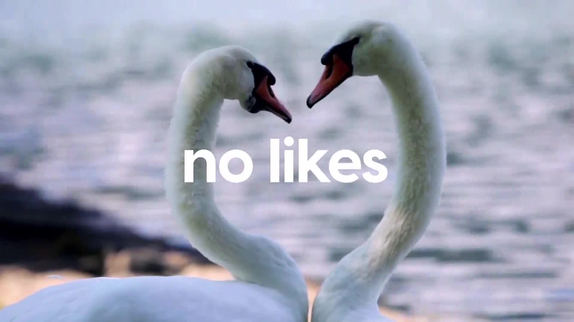 AnimalPlanet