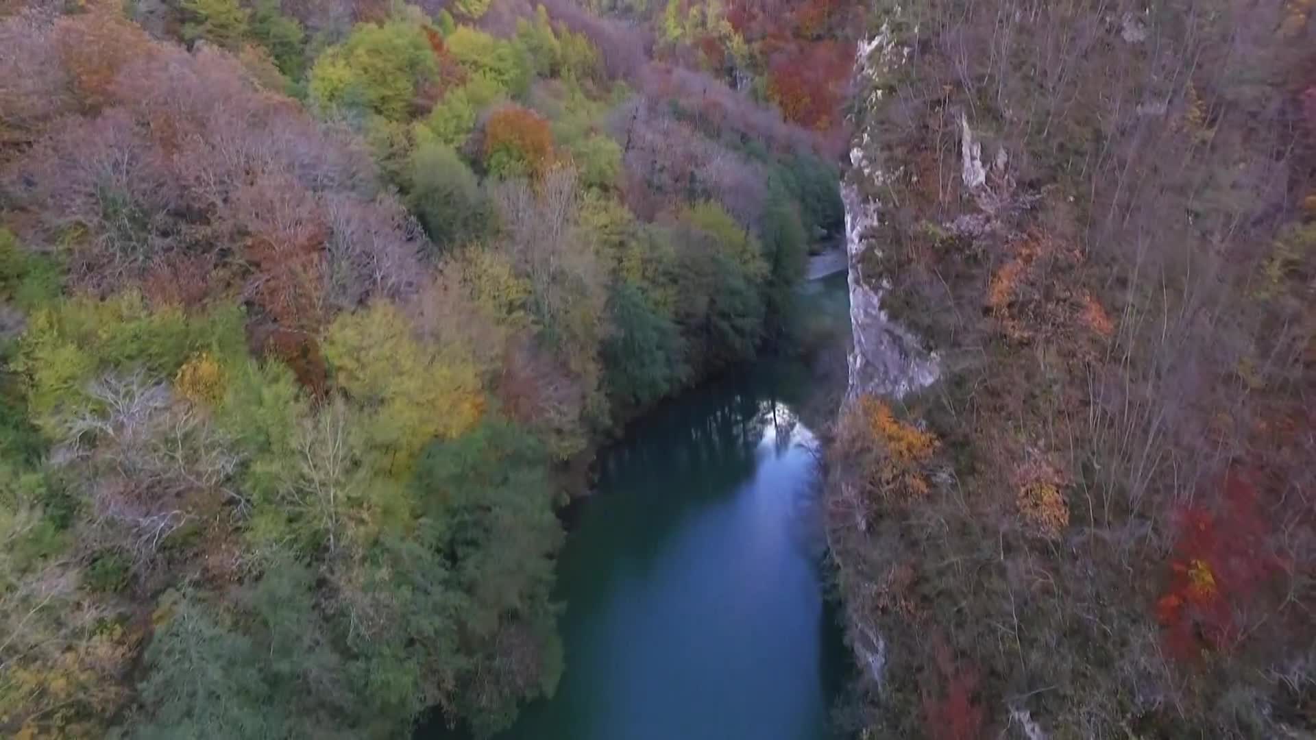 DokuTV