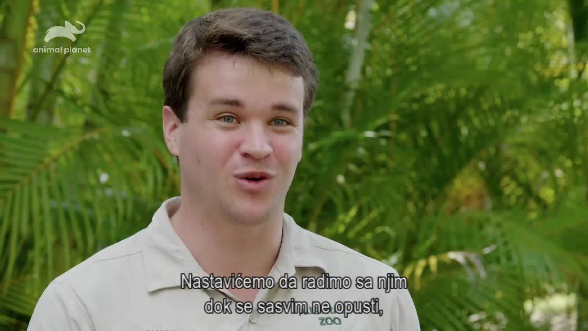 AnimalPlanet