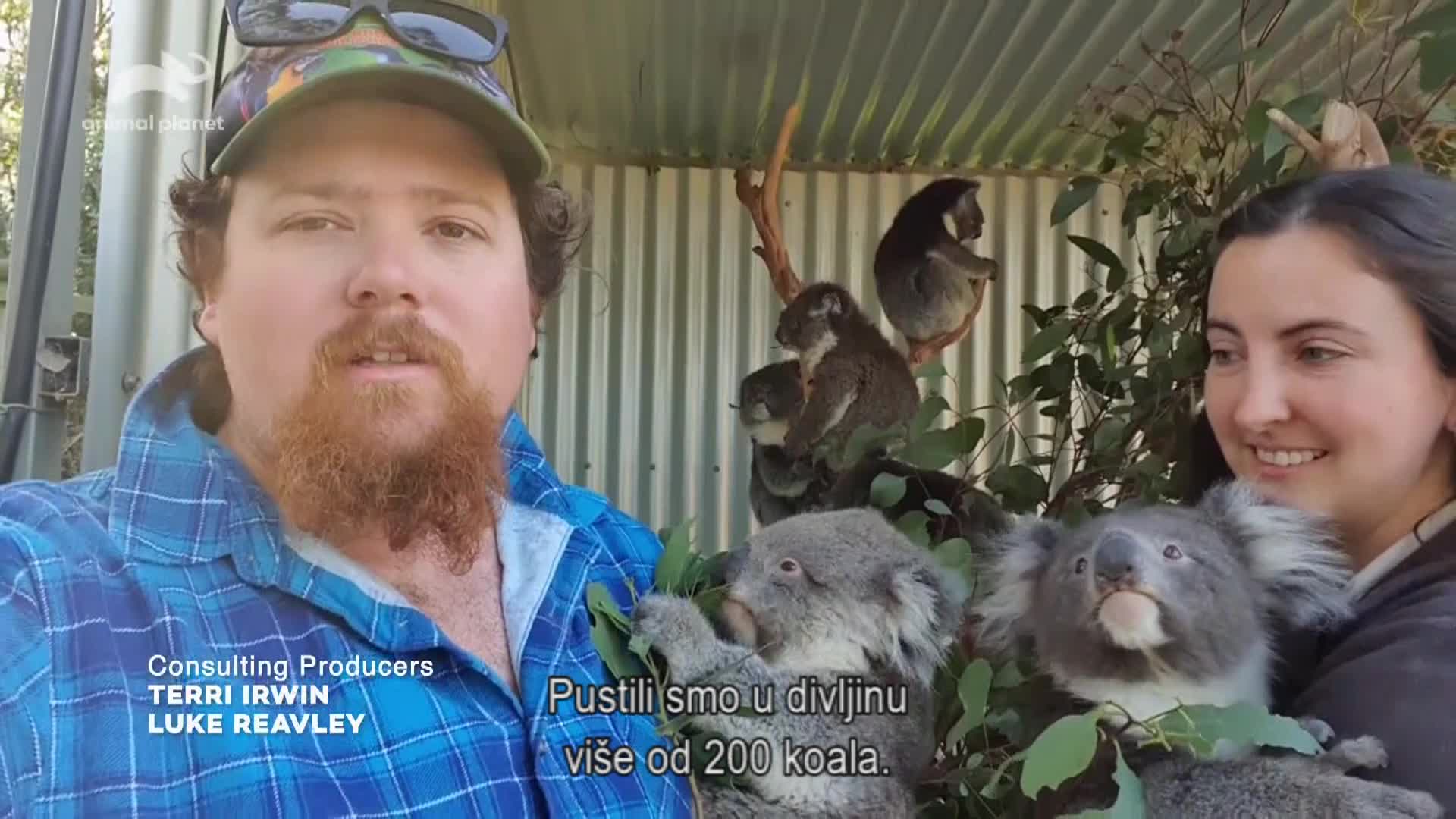 AnimalPlanet