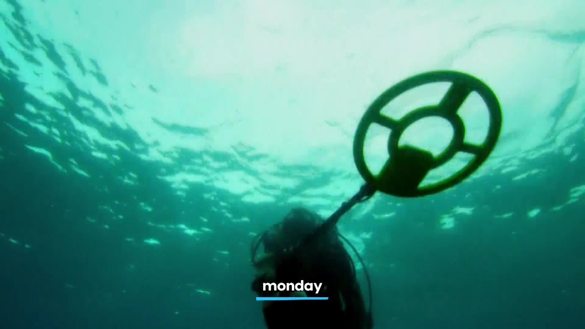 AnimalPlanet