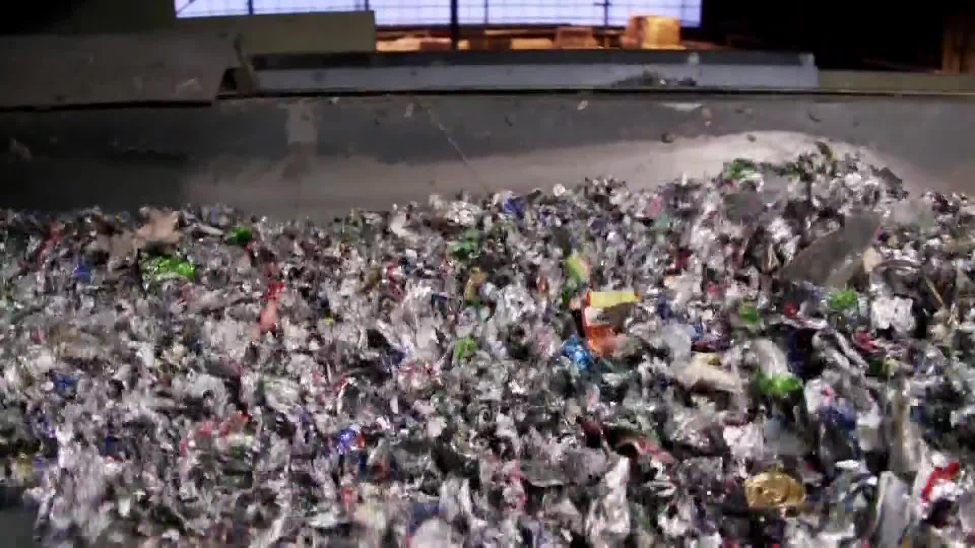 AnimalPlanet