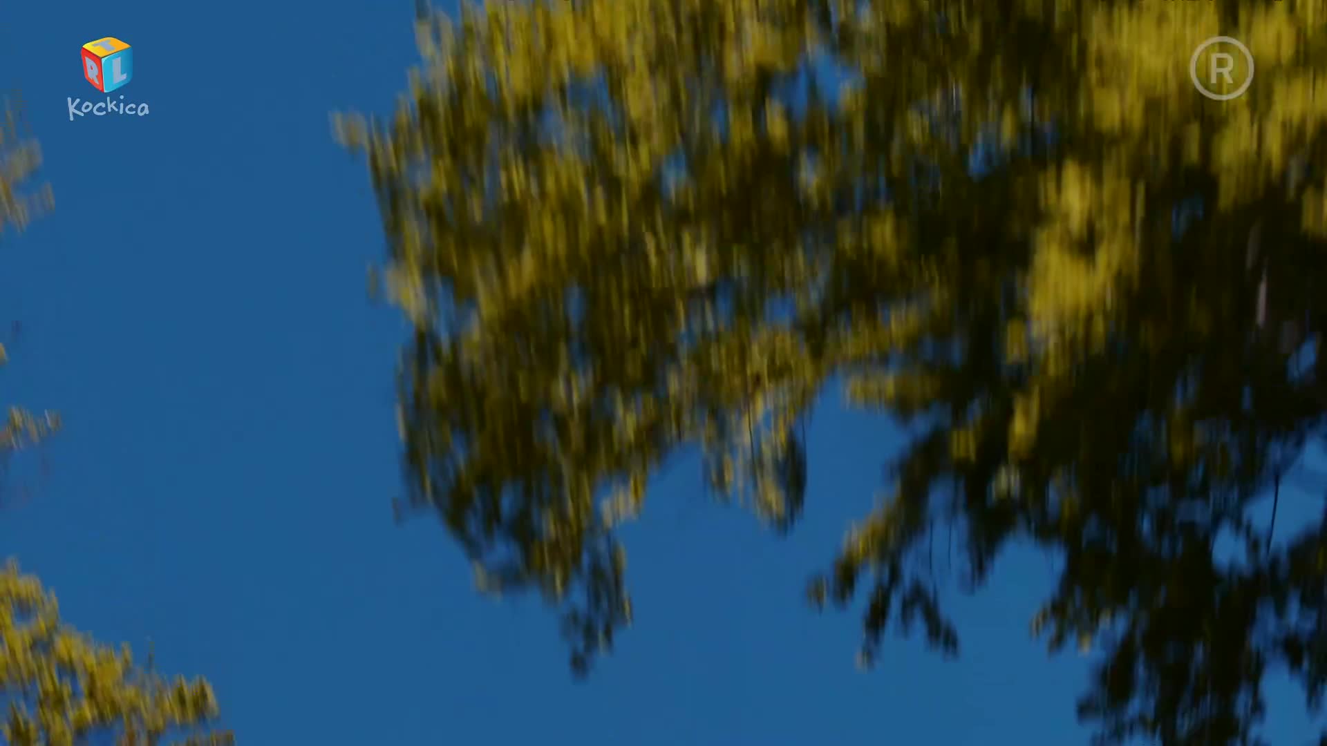 RTLKockica