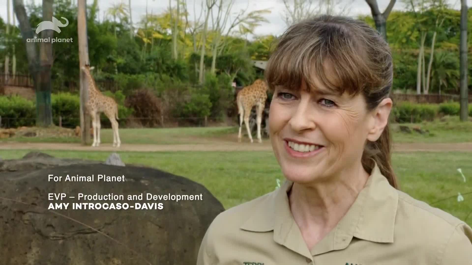 AnimalPlanet