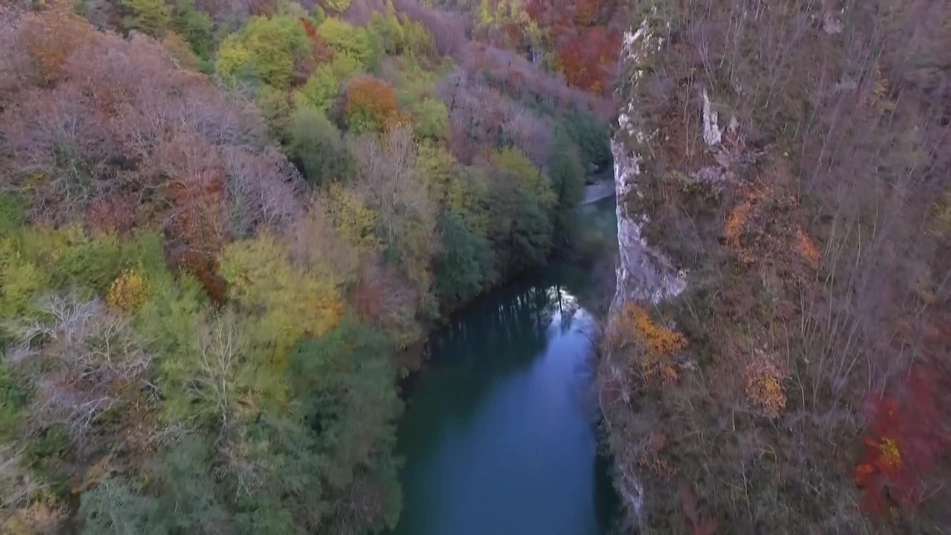 DokuTV