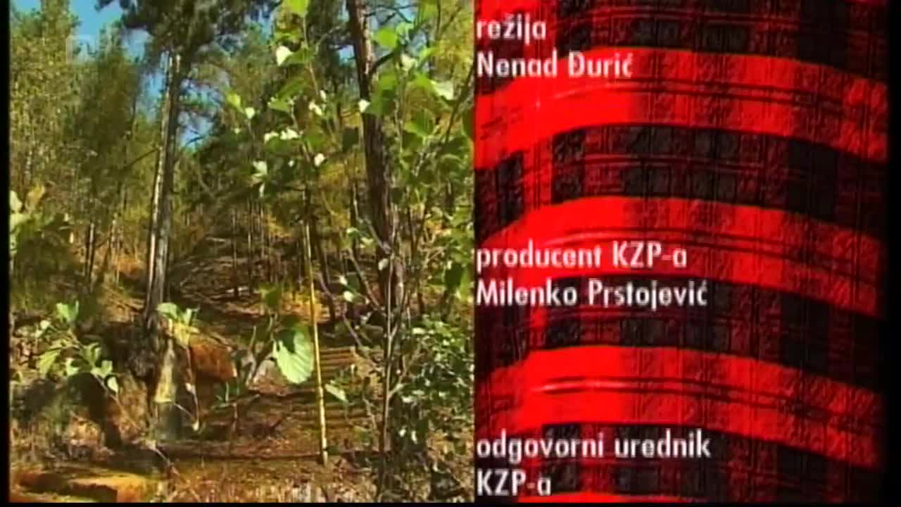 FTV