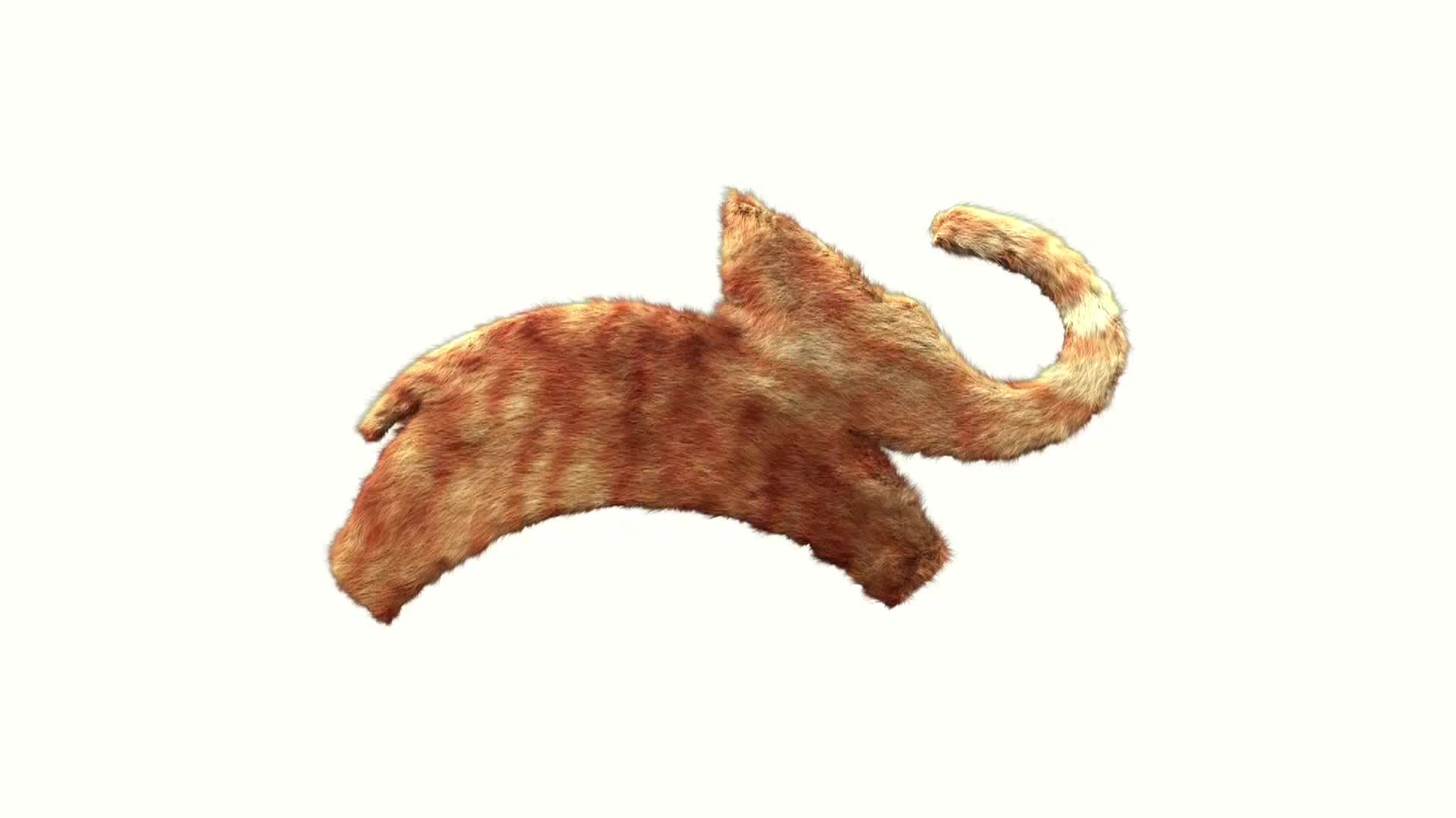 AnimalPlanet