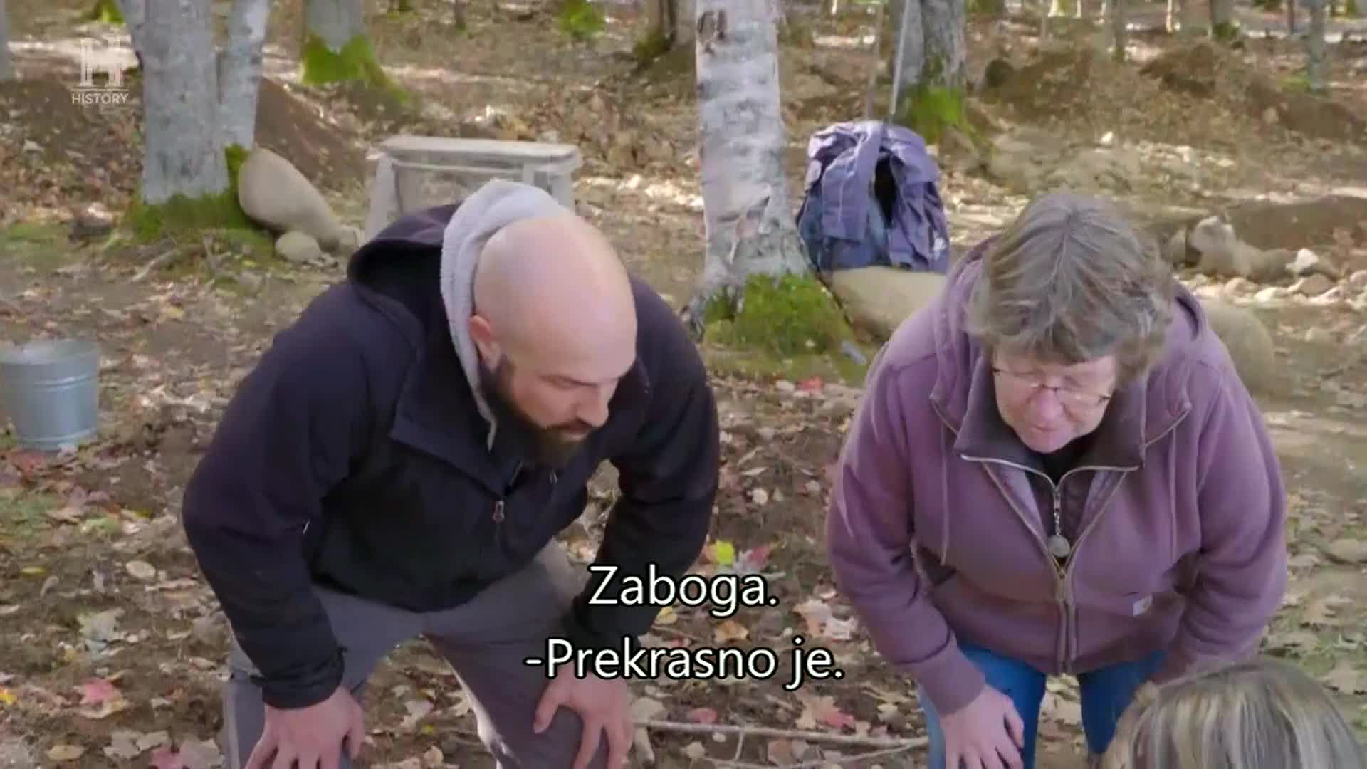 History