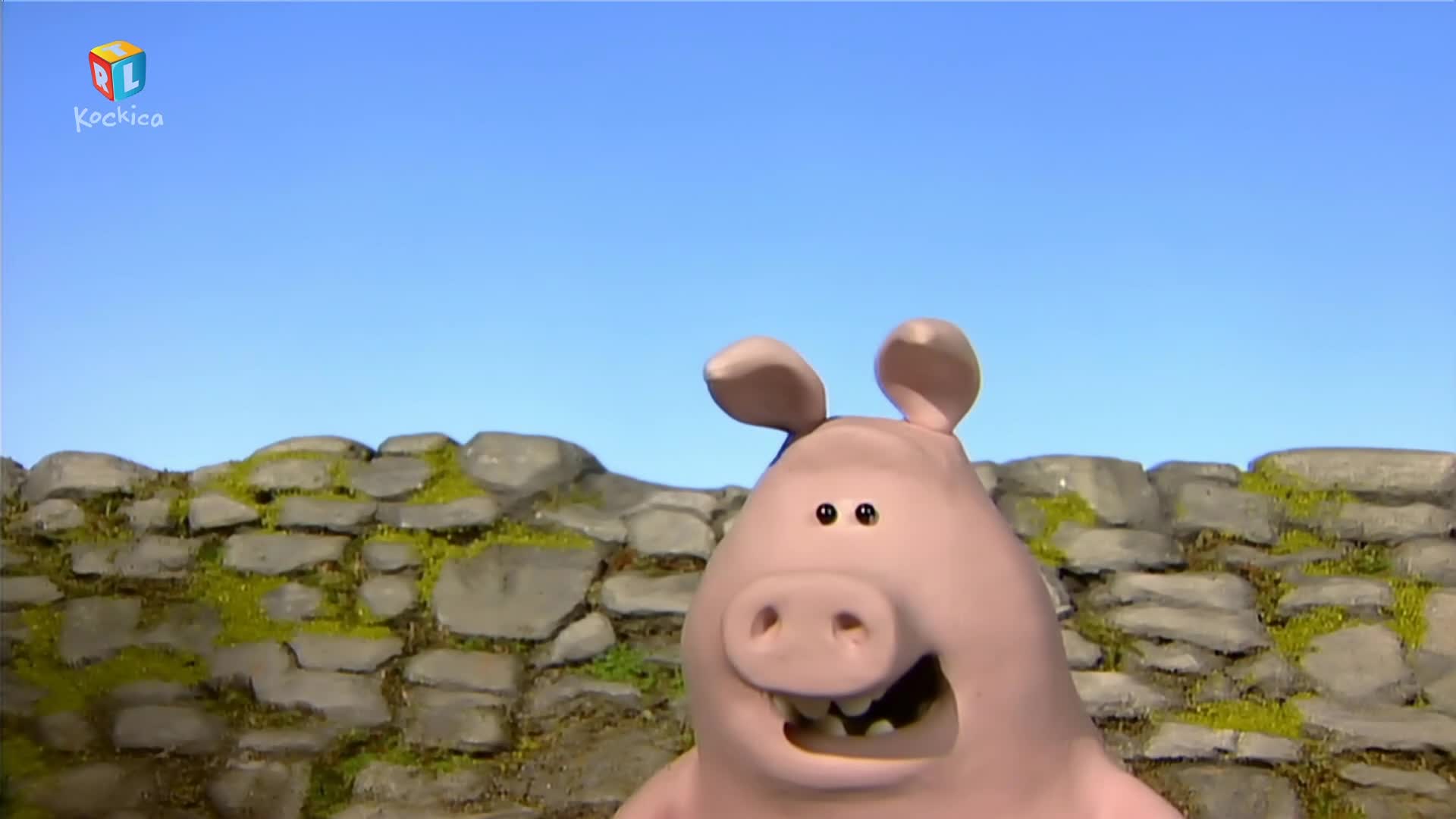 RTLKockica