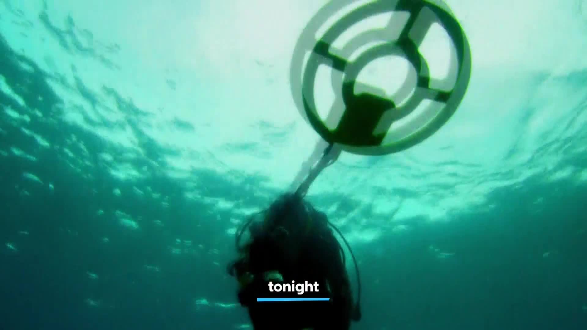 AnimalPlanet