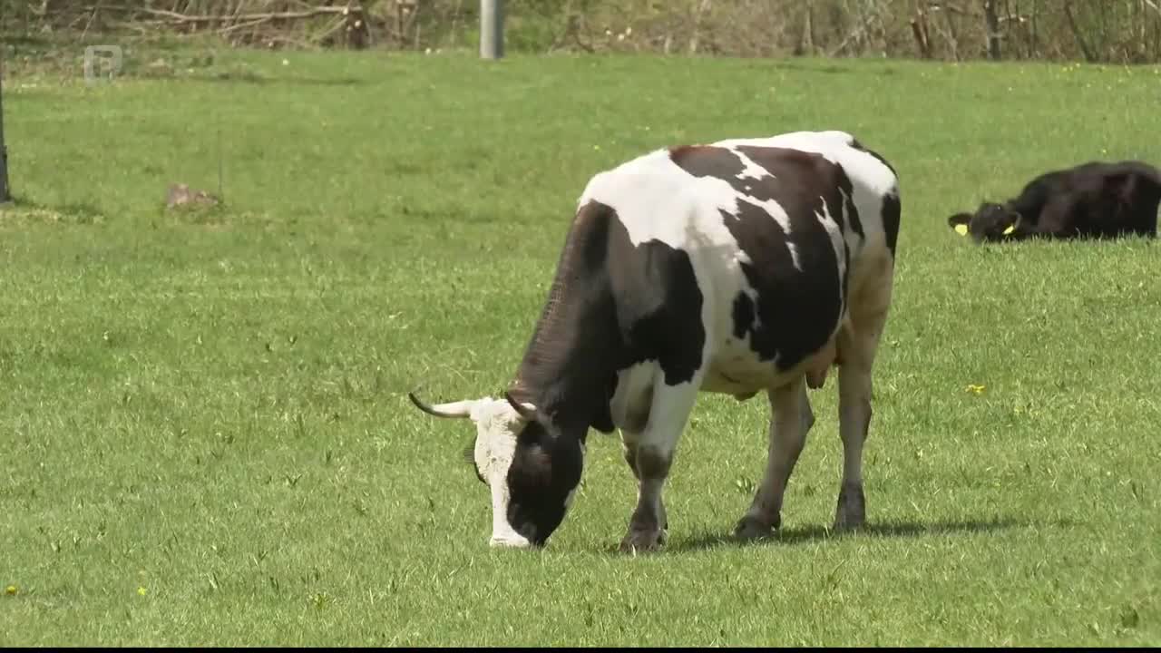 FTV