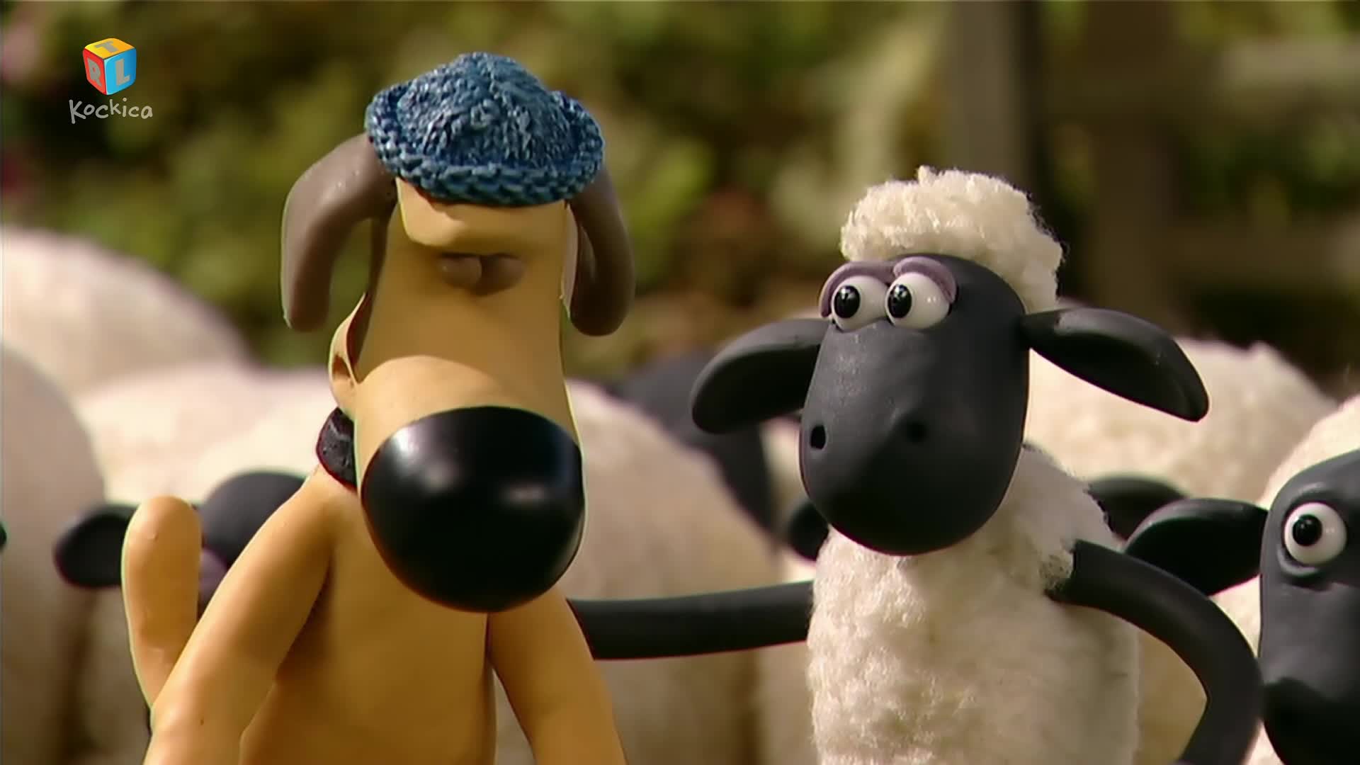 RTLKockica