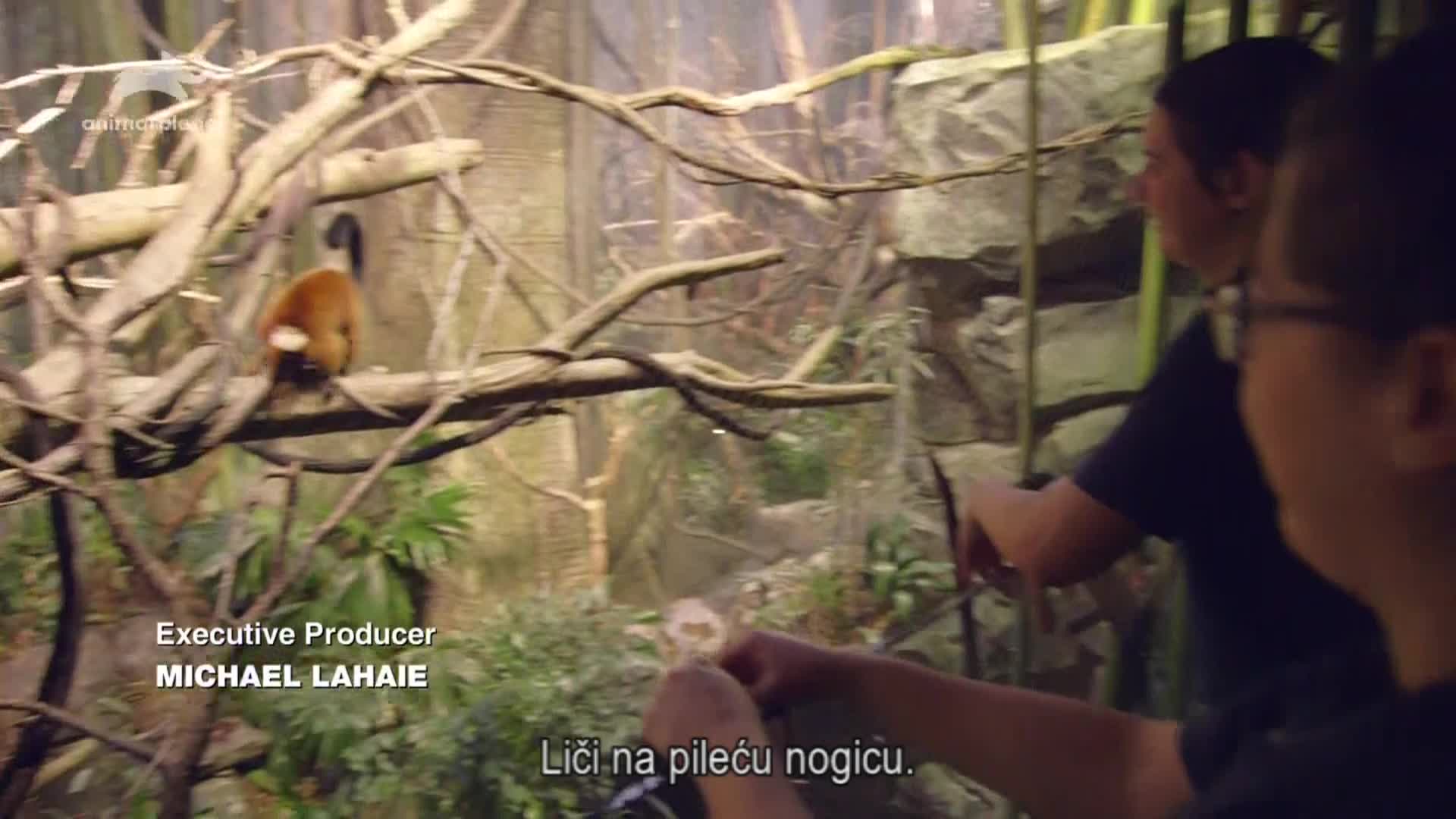 AnimalPlanet