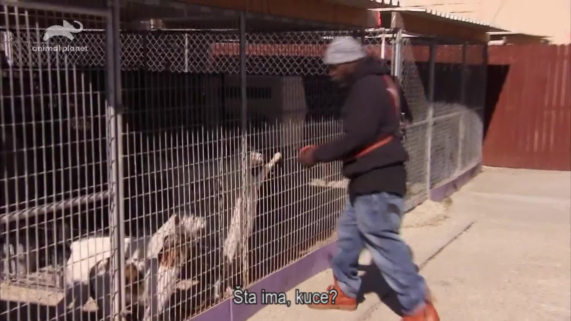 AnimalPlanet