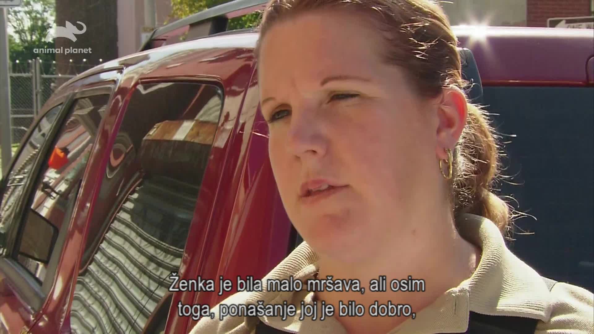 AnimalPlanet