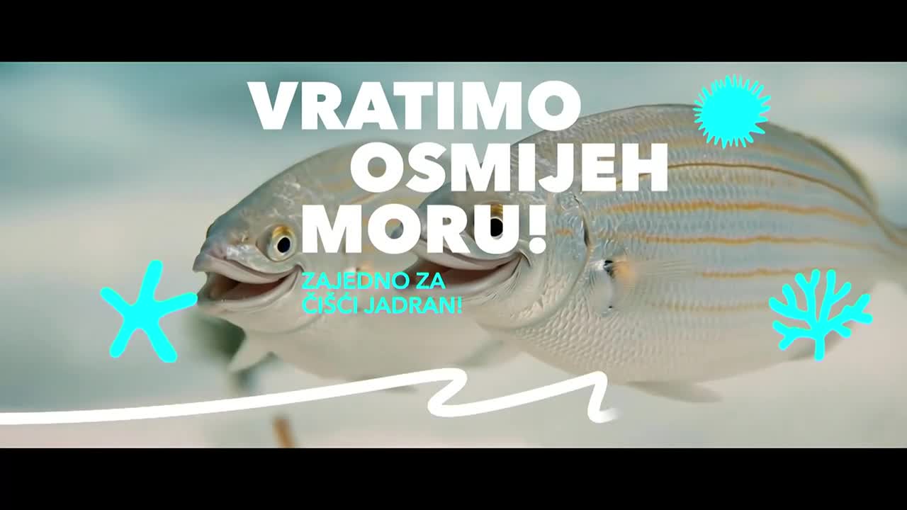 DomaTV